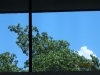 Commercial-Window-Tinting-Springfield-Illinois